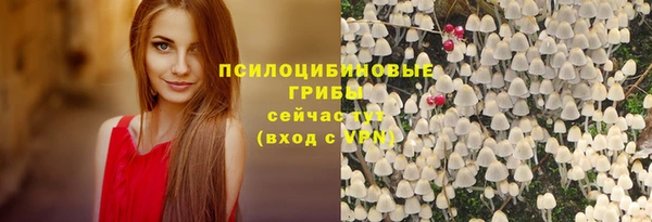 мет Абинск