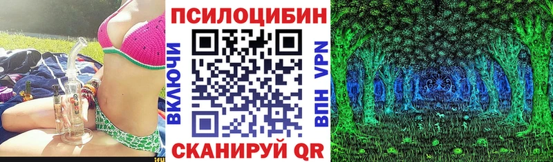 купить наркоту  Торжок  площадка телеграм  Псилоцибиновые грибы ЛСД 
